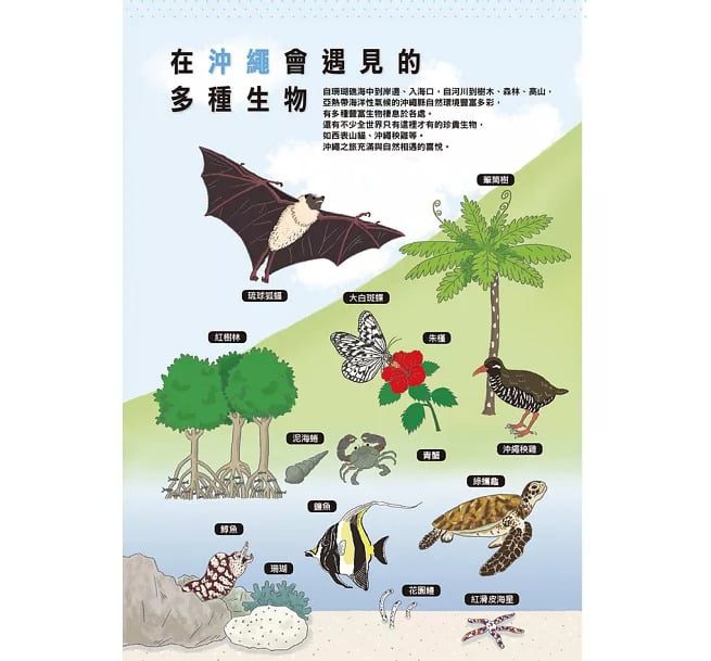 9789864011704-5 9789864011704 5