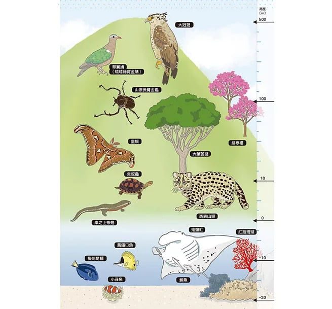 9789864011704-6 9789864011704 6